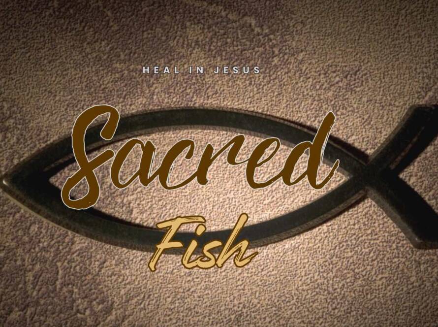 Sacred Fish song